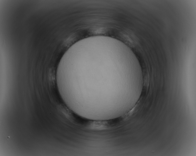 X0000086730179200705041355