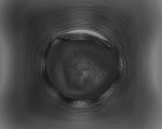 X0000086730180200705041355