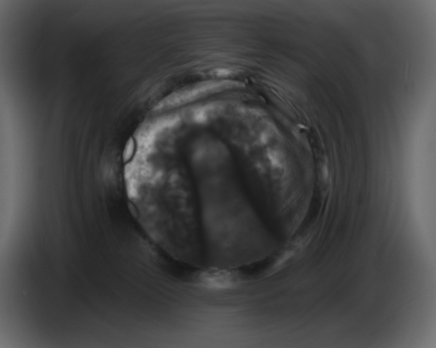 X0000086730181200705041355
