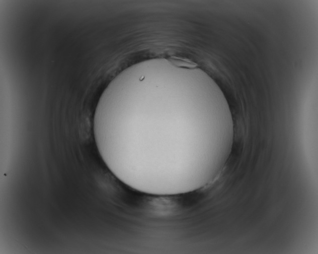 X0000086730183200705041355