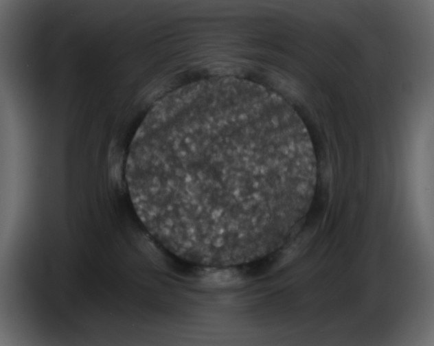 X0000086730185200705041355