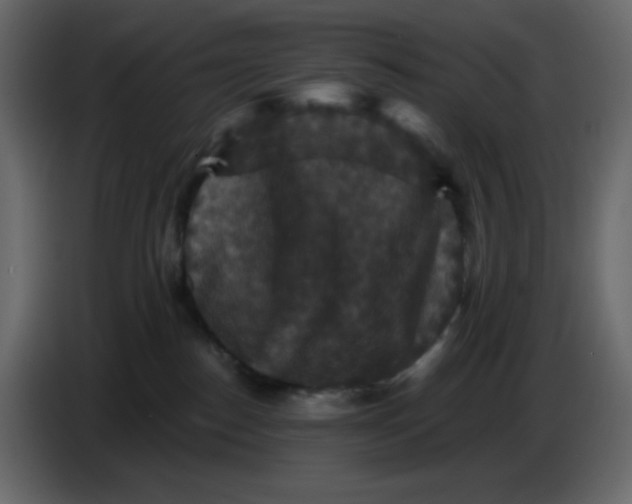 X0000086730186200705041355