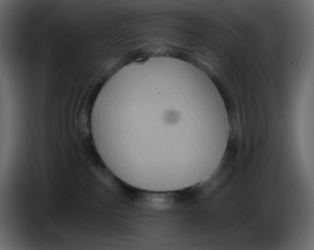 X0000086730187200705041355