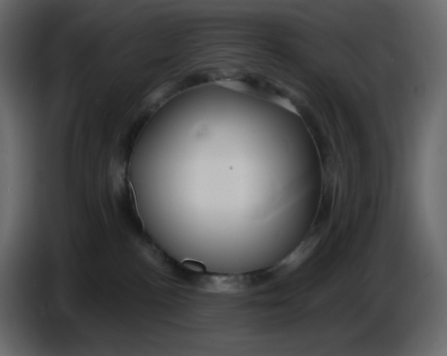 X0000086730188200705041355