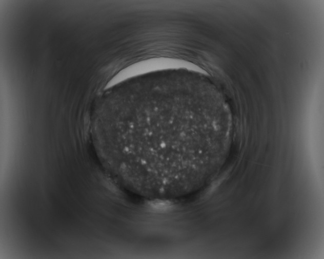 X0000086730189200705041355