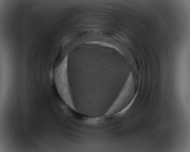 X0000086730190200705041355