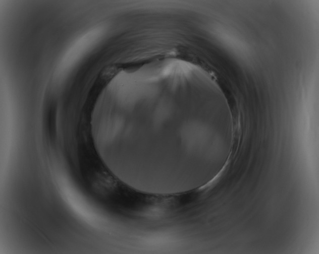 X0000086730191200705041355