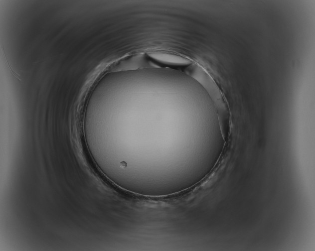 X0000086730193200705041354