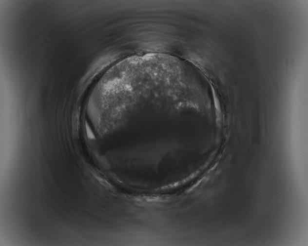 X0000086730194200705041354