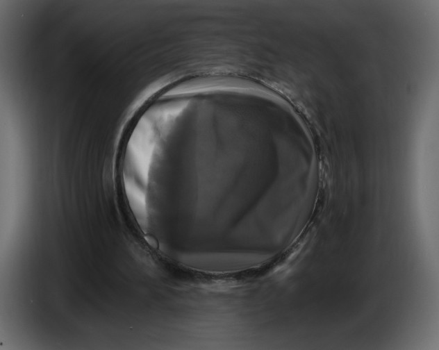 X0000086730196200705041354