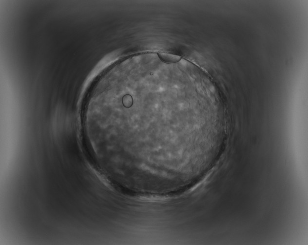 X0000086730198200705041354
