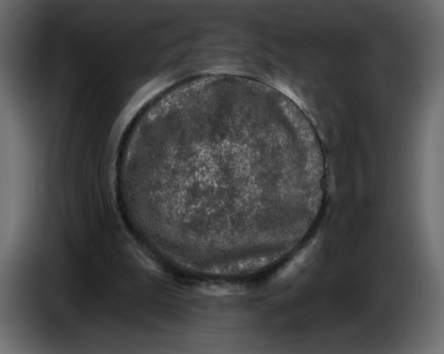 X0000086730199200705041354