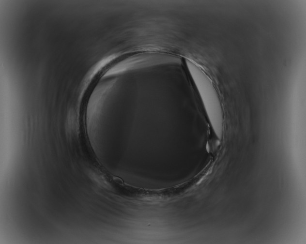 X0000086730200200705041354