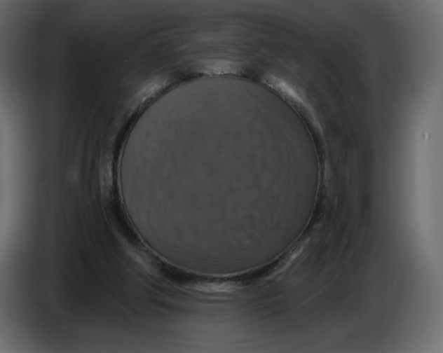 X0000086730202200705041354