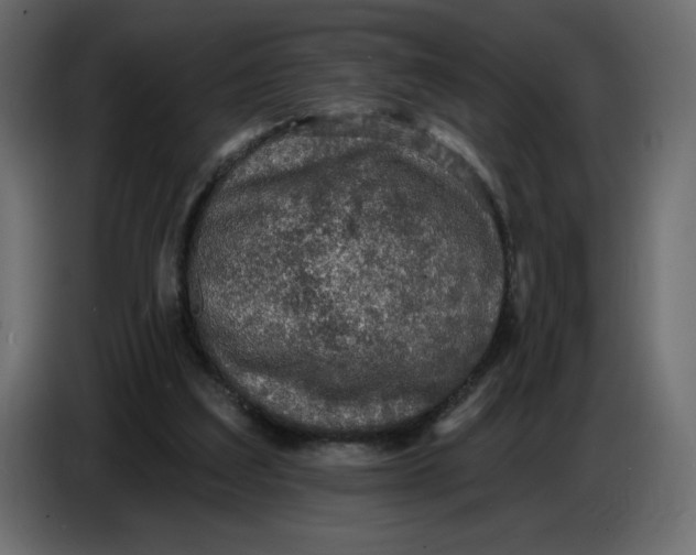 X0000086730203200705041354