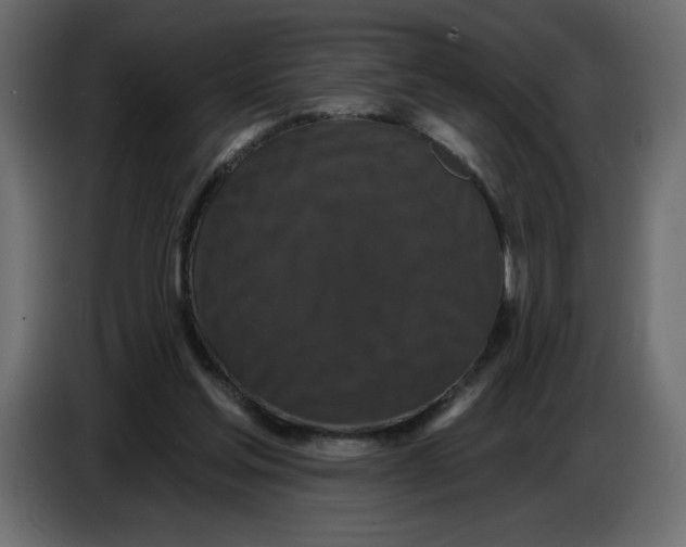 X0000086730205200705041354