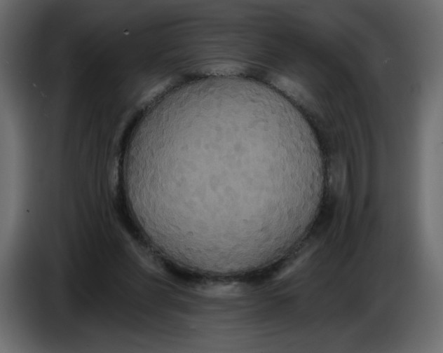 X0000086730206200705041354