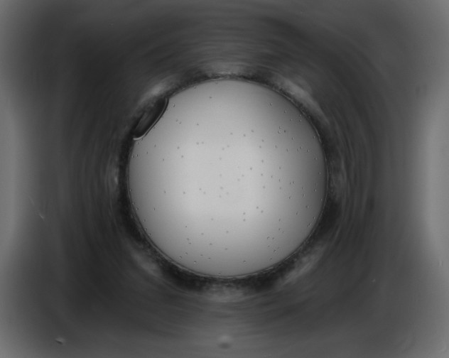 X0000086730207200705041354