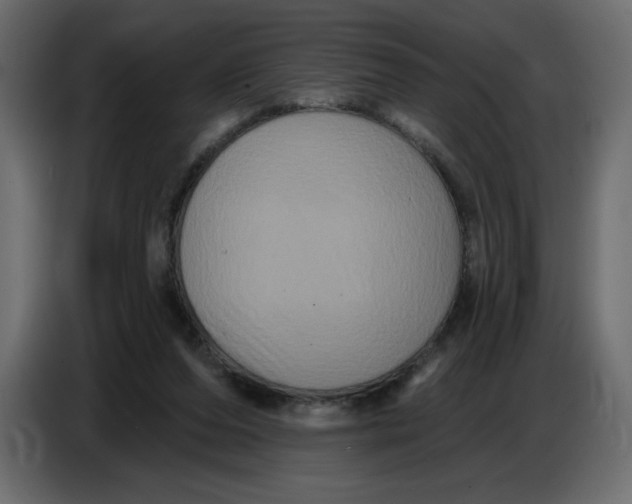 X0000086730208200705041354