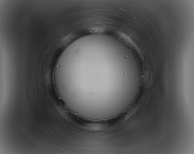 X0000086730209200705041354