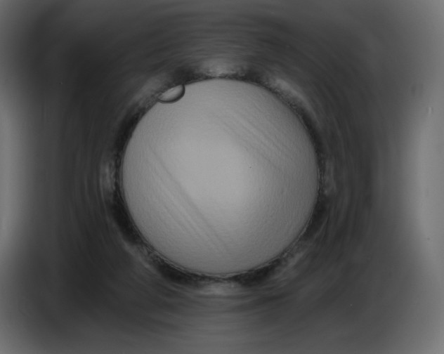 X0000086730210200705041354