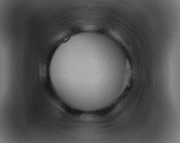 X0000086730211200705041354