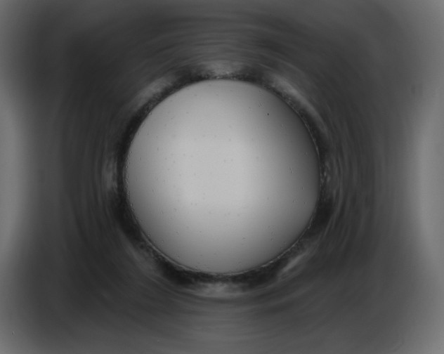 X0000086730212200705041354
