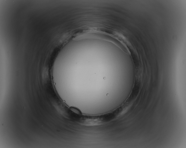 X0000086730213200705041354