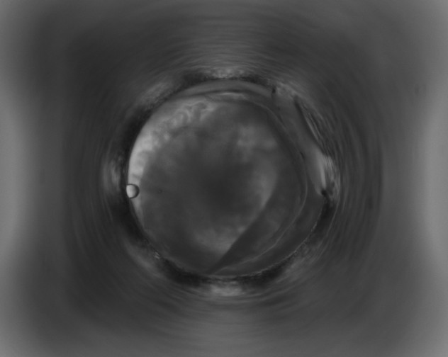 X0000086730214200705041354