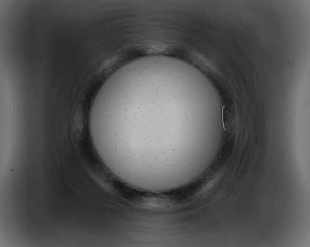 X0000086730215200705041354