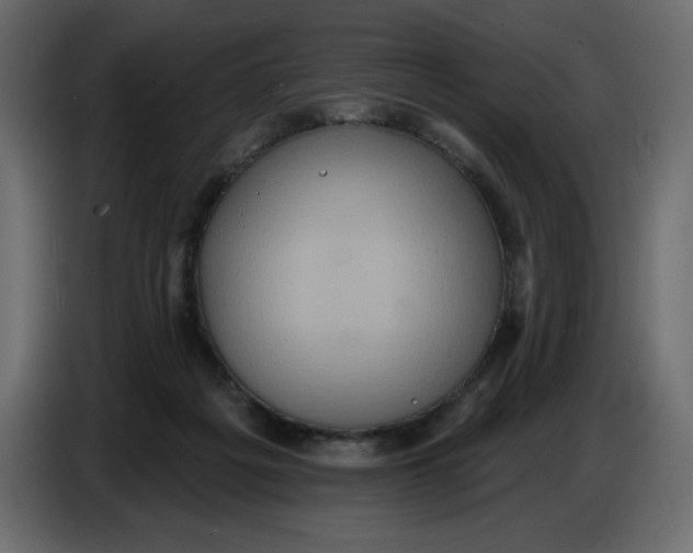 X0000086730217200705041354
