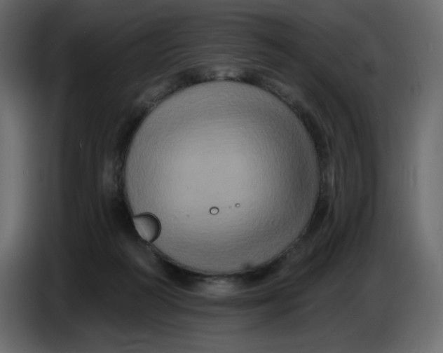 X0000086730218200705041354