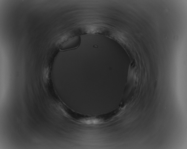X0000086730219200705041354