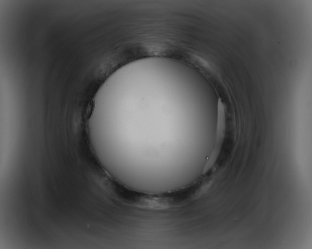 X0000086730221200705041354