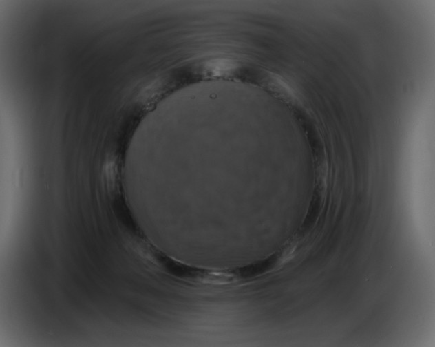 X0000086730222200705041354
