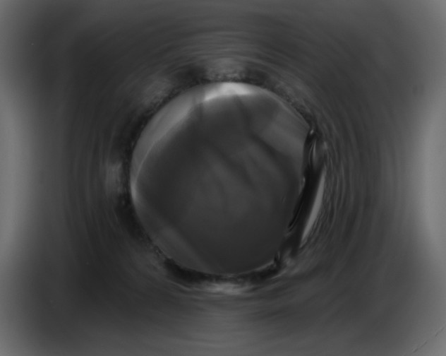X0000086730224200705041354