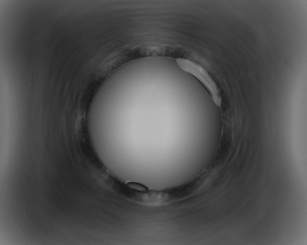 X0000086730225200705041354