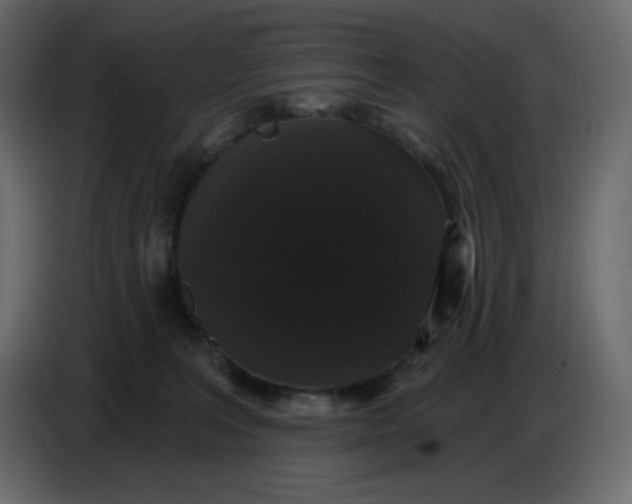 X0000086730227200705041354