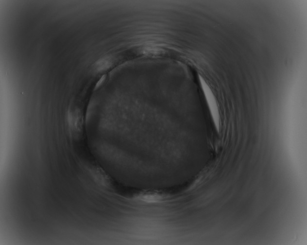 X0000086730228200705041354