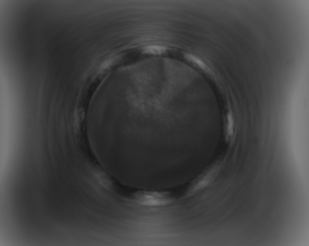 X0000086730229200705041354