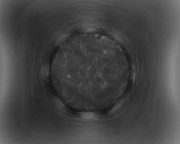 X0000086730230200705041354