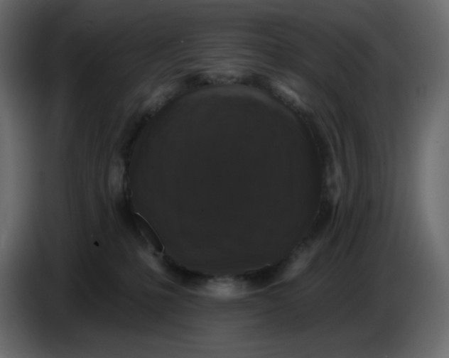 X0000086730231200705041354