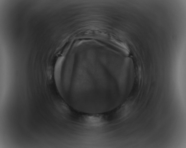 X0000086730232200705041354