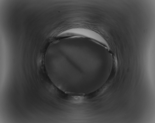 X0000086730233200705041354