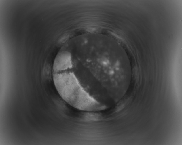 X0000086730234200705041354