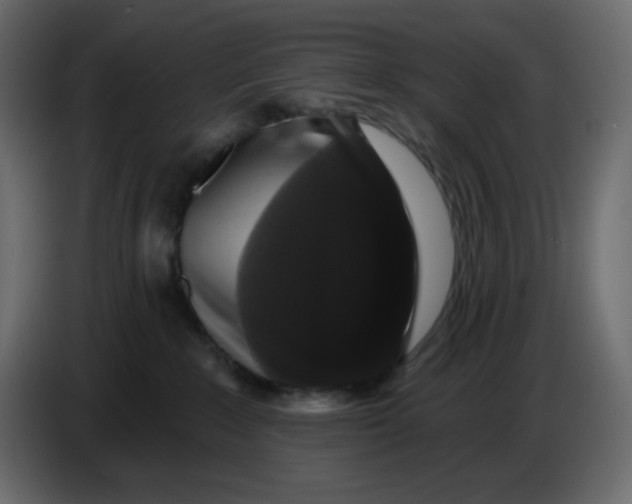X0000086730235200705041354