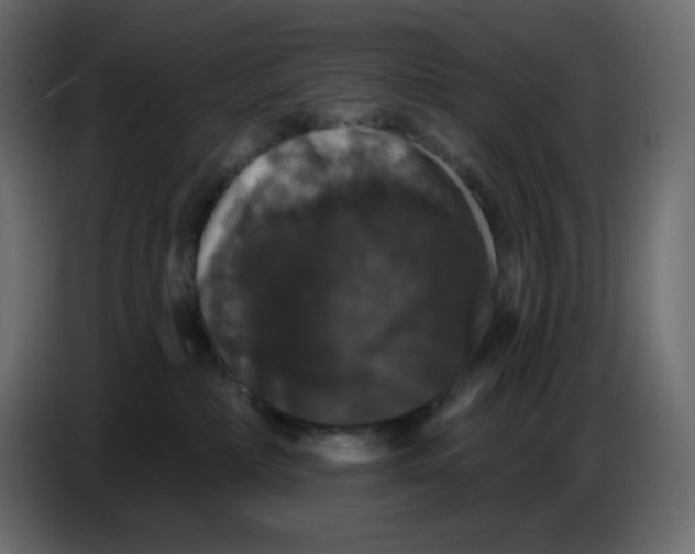 X0000086730236200705041354