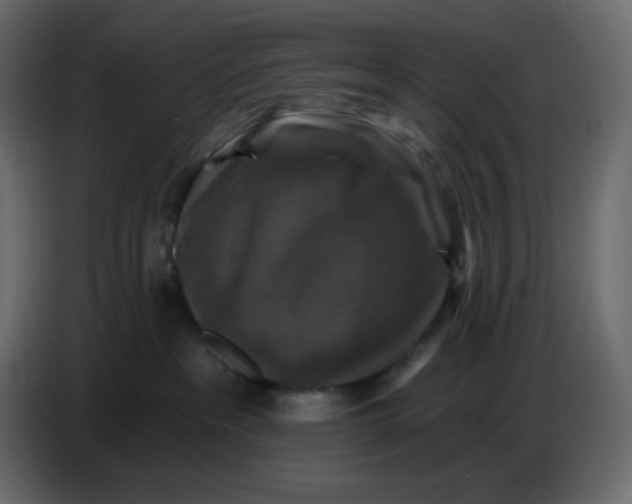X0000086730237200705041354