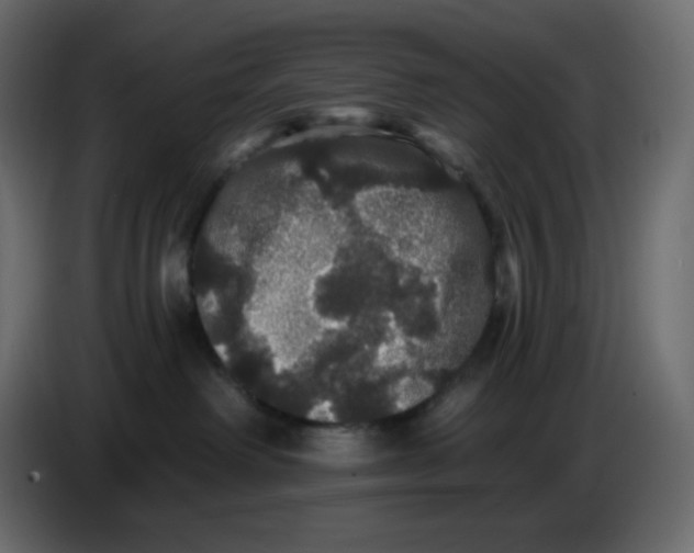 X0000086730238200705041354