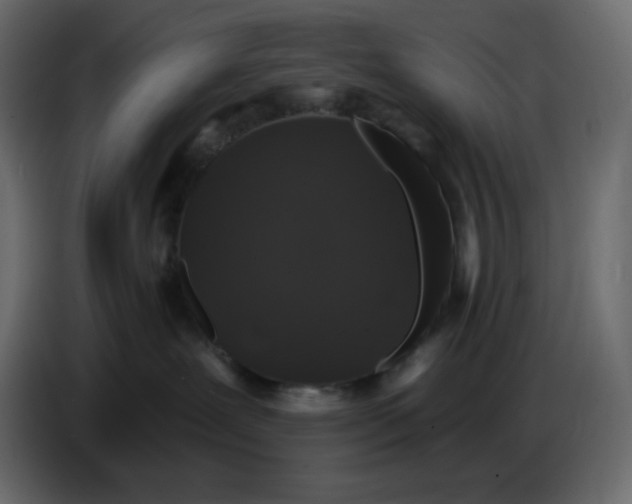X0000086730239200705041354